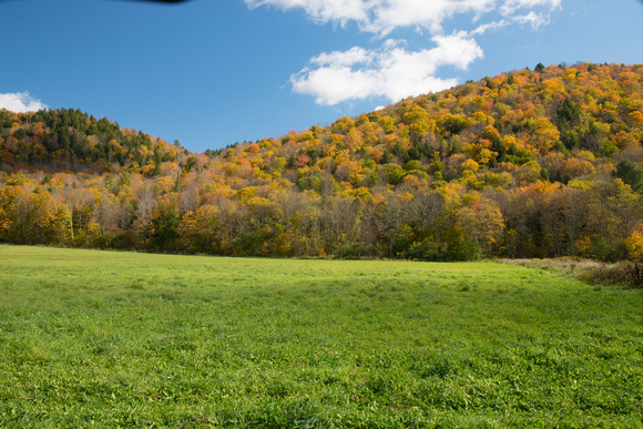 Meadow and Fall Foliage