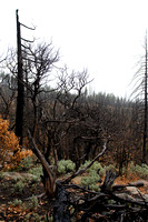 Fire aftermath next to Evergreen Lodge