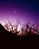 Painted Desert Moon Rise