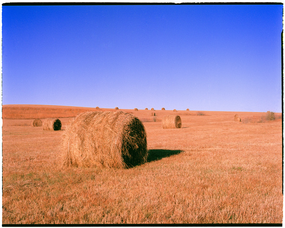 Hay Bales, Fall, Wabaunsee County, KS
