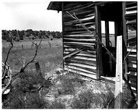 Abandoned Homestead Davidson Ranch