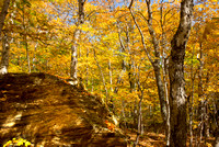 Smugglers Notch_DSC3218