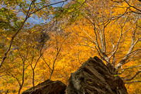 Smugglers Notch_DSC3224-2