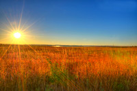 Bluestem Road Sunrise