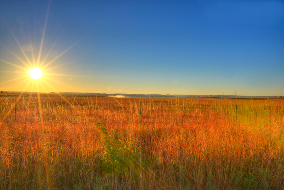 Bluestem Road Sunrise