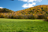 Meadow and Fall Foliage