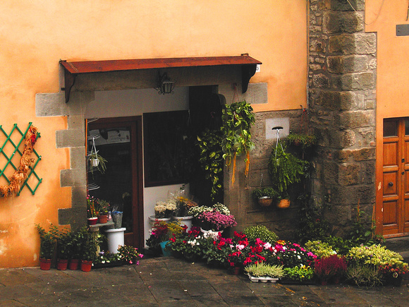 Flower Shop Tuscany