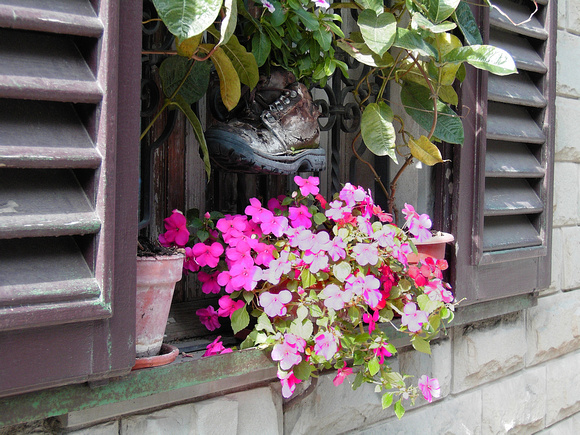 Shoe and Flowers Panzano