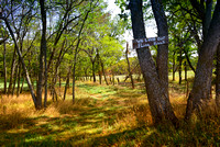 We Love Our Flint Hills