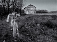 Standing Guard Flint Hills