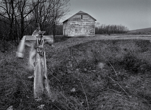 Standing Guard Flint Hills