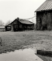 Ruby Goocey's Barn and Shed